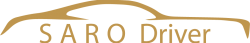 Solo logo ohne hintergrund